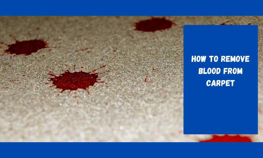 How To Remove Blood From Carpet Pearland Tx