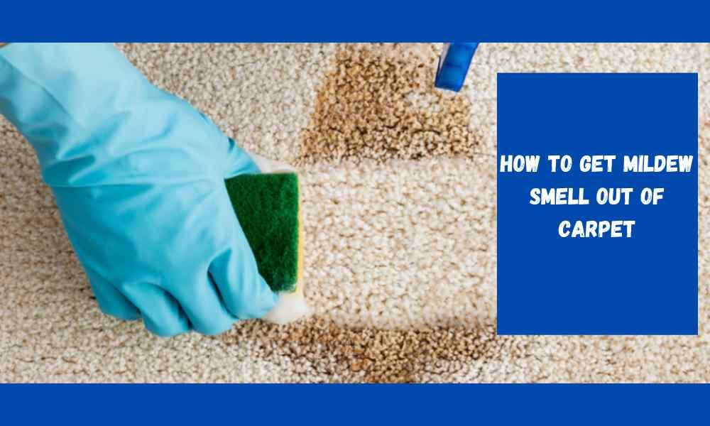 How to Get Mildew Smell Out of Carpet