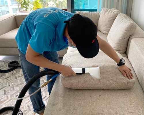 Specialized Sofa Cleaning